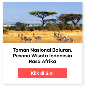 Taman Nasional Baluran, pesona wisata Indonesia Rasa Afrika